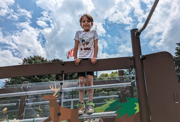 Rose tree park playground