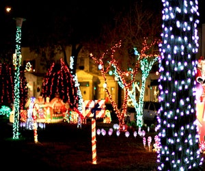 The amazing Smedley Street Christmas Light Spectacular.display is back!  Photo courtesy of the venue