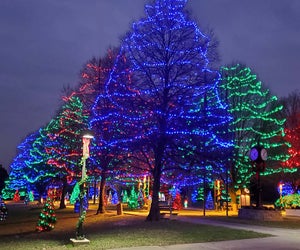 Rose Tree Park glimmers at night, welcoming visitors to enjoy a wintery walk at Festival of Lights. Photo courtesy of the park