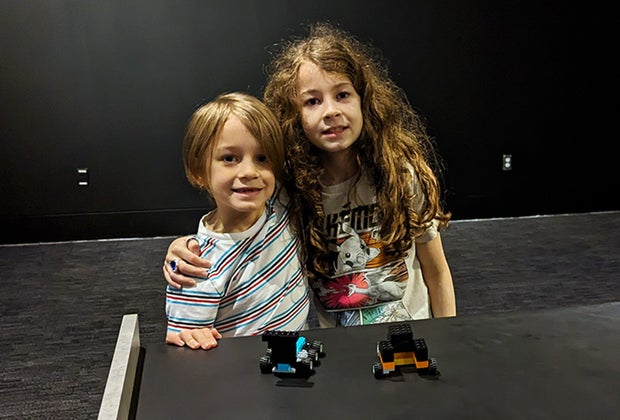 LEGO  Art of the Brick 