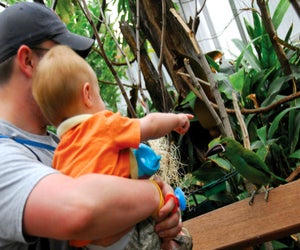 Visiting the birds at the Philadelphia Zoo. Photo courtesy the zoo