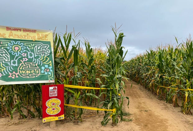Photo of Brown's Harvest in Windsor - Corn Mazes in Connecticut