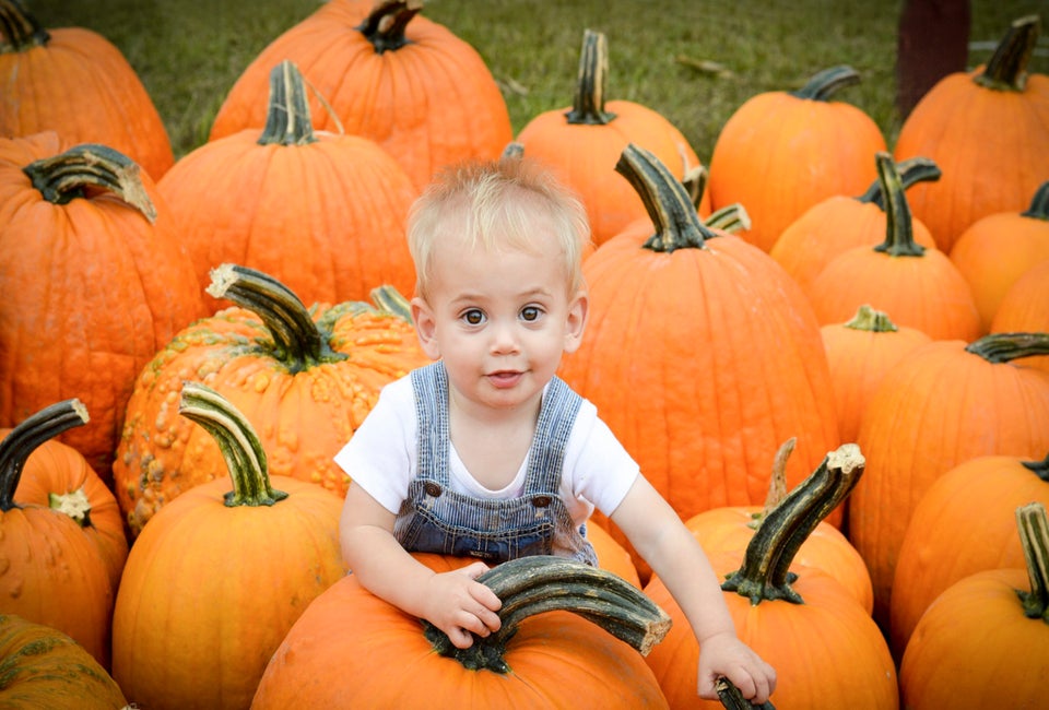 The best pumpkin patches in Connecticut offer a great opportunity to explore the outdoors with a fun fall activity! Photo courtesy of Brown's Harvest 