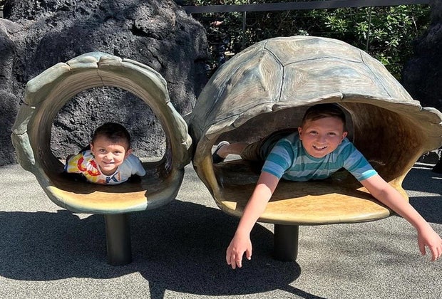 Kids play at free day at the Houston Zoo