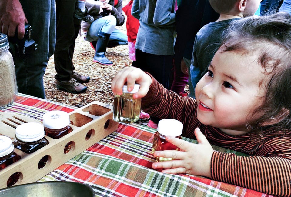 Learn how maple sugaring works at Brookside Gardens. Photo courtesy of Montgomery Parks
