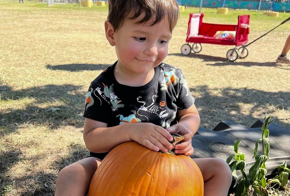 From pumpkins to corn mazes, there's loads of seasonal fun at local farms. Photo courtesy of P6 Farms