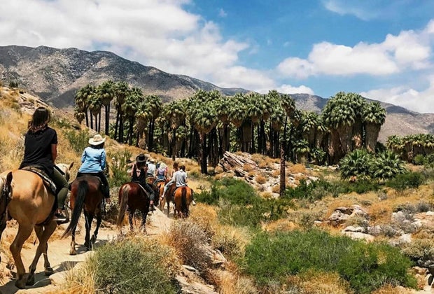 Best Things To Do in Palm Springs: Smoke Tree Stables