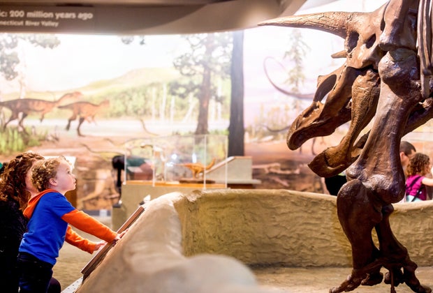 Photo of kids with dinosaur skeleton at Boston Museum of Science