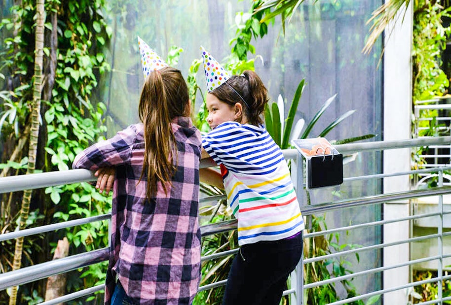 ​A birthday in an environment the kids will never forget. Photo courtesy of the California Academy of Arts and Sciences