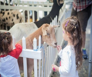 Celebrate spring at this fun fundraiser for special needs kids at the Friendship Circle. Photo courtesy of the organization