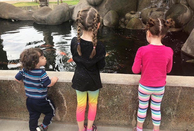 Things to Do in Phoenix with Kids: World Wildlife Zoo