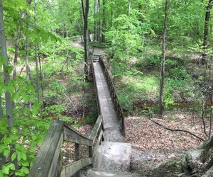 Stretching out over seven counties and across 1.1 million acres, New Jersey's Pine Barrens offer plenty of enclaves to explore.