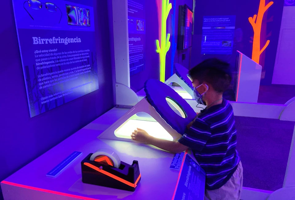 The polarizer and tape 