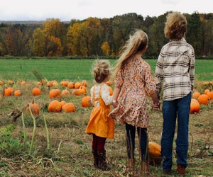 Kelder's Farm in Kerhonkson offers acres of pumpkins to pick, plus tons of family-friendly activities and seasonal photo-ops. Photo courtesy of the farm