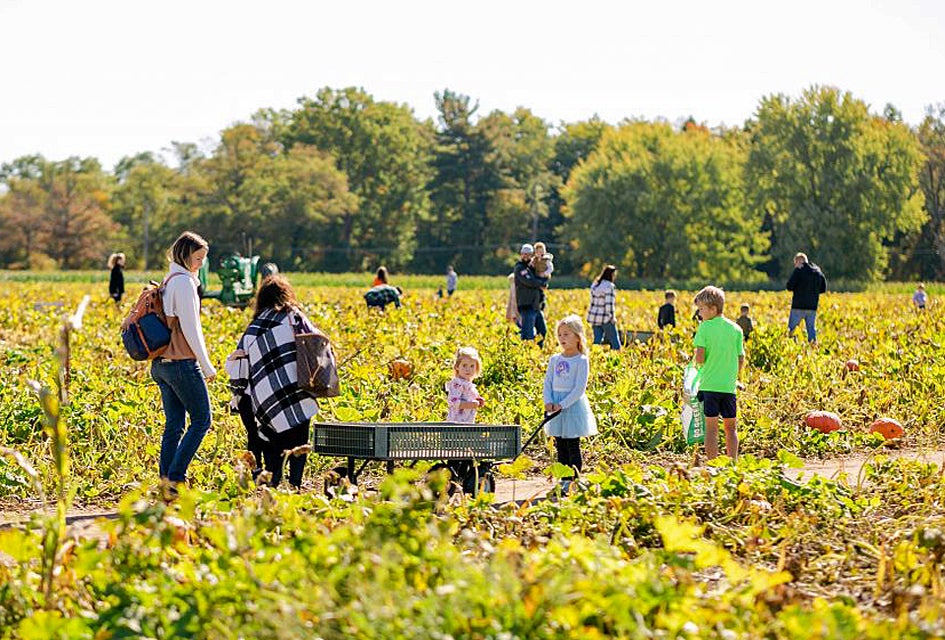Hit the fields to pick a perfect pumpkin at Johnson's Locust Hall Farm. Photo by Elizabeth Mae Photography/courtesy of the farm
