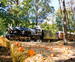 Take a ride aboard the legendary Pumpkin Train. Photo courtesy of Delaware River Railroad Excursions