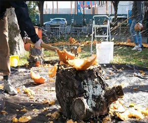 Dispose of your leftover pumpkins the fun and sustainable way at Pumpkin Smash. Photo courtesy of the NYC Parks Dept.