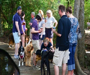 Leash up your pups and bring out your families for an afternoon of craft beer and four-legged friends. Photo courtesy of Saint Arnold's Brewing Co.