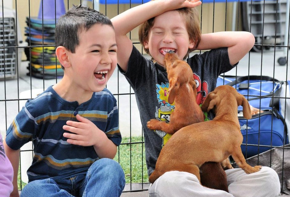 Who wouldn't love a puppy party? Photo courtesy of Pups and Reps