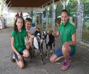 Meet some friendly animals at the Putnam County Fair in Carmel. Photo courtesy of the fair