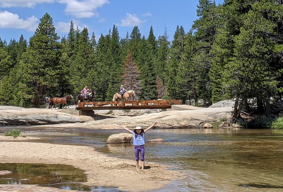 Welcome to the Wild West, in the Eastern Sierras! Photo by author