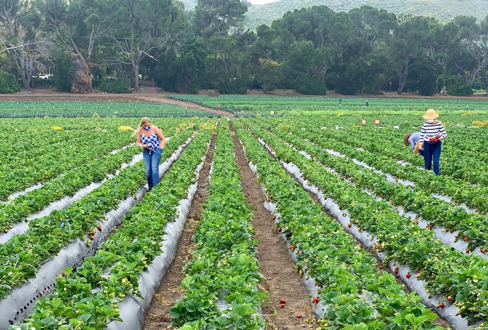 Photo courtesy of Underwood Family Farms