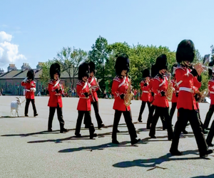 The changing of the guard at La Citadelle de Quebec stars Batisse the goat.
