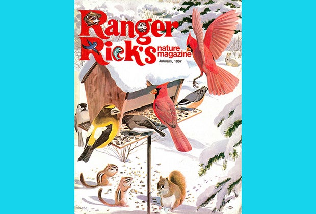 Best Magazine Subscriptions for Kids: Ranger Rick
