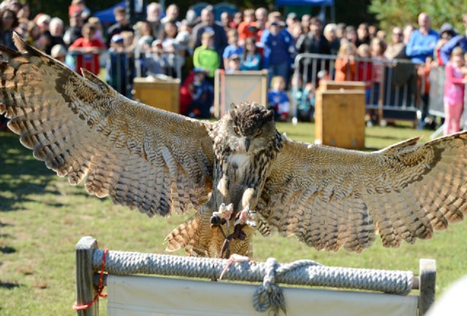Photo Courtesy NYC Parks