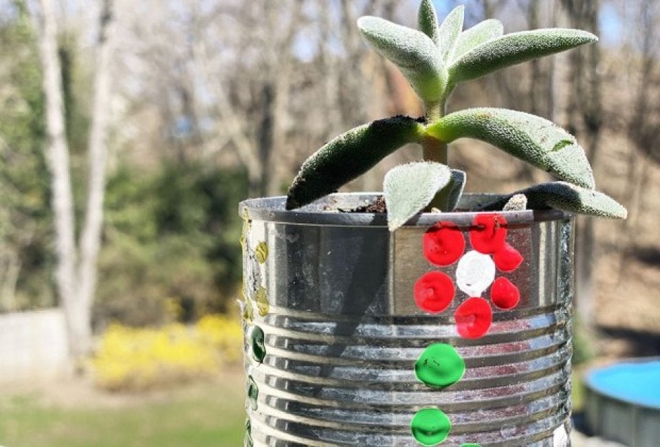 Make some recycled crafts together for Earth Day! Photo by Ally Noel