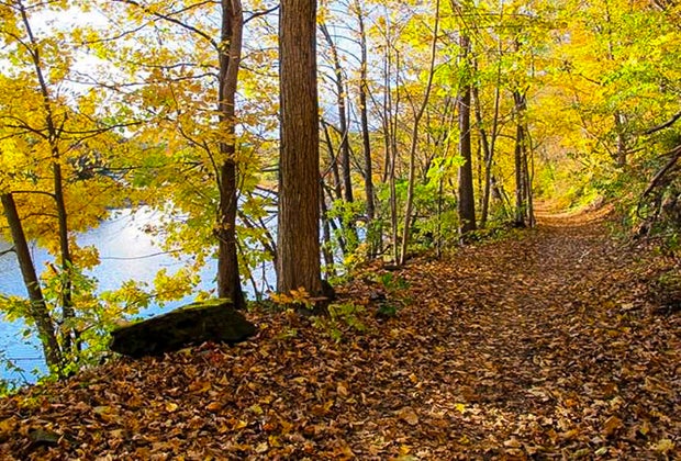 Image of Vermont hiking trail - Fall Day Trips from CT