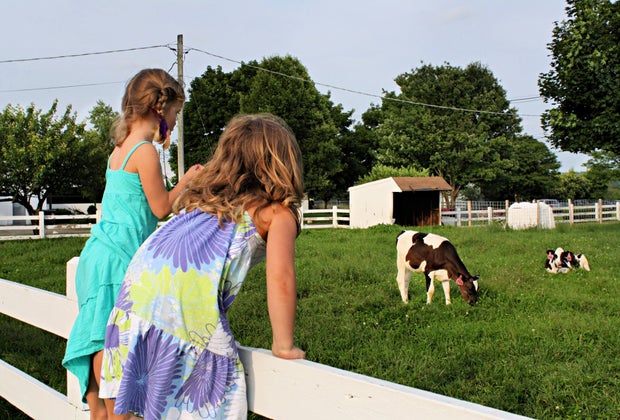 Richardson's Ice Cream in Middleton- Farms with Family Entertainment