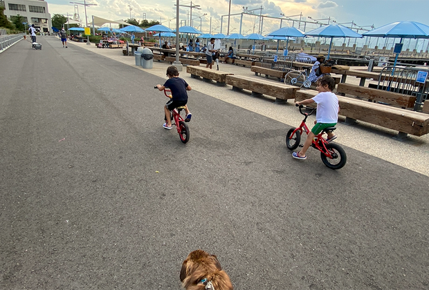 two boys ride bikes
