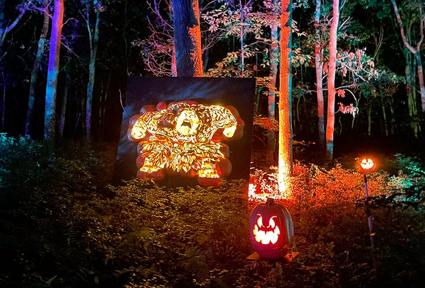 Rise of the Jack O'Lanterns Opens on Long Island Maui