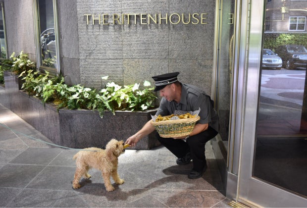 The Rittenhouse welcomes families with children and dogs too!