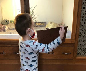 Check out the dioramas at Roaring Brook. Photo courtesy of Roaring Brook Nature Center