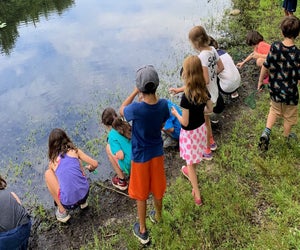 Frog hunting at Rocky Woods. Photo courtesy of The Trustees of Reservations