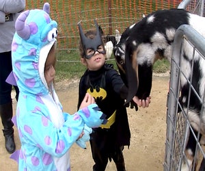 Rolling River Annual Fall Festival . Photo courtesy of the festival