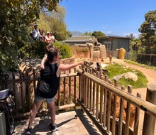 Feeding a giraffe is not your every day zoo experience. 