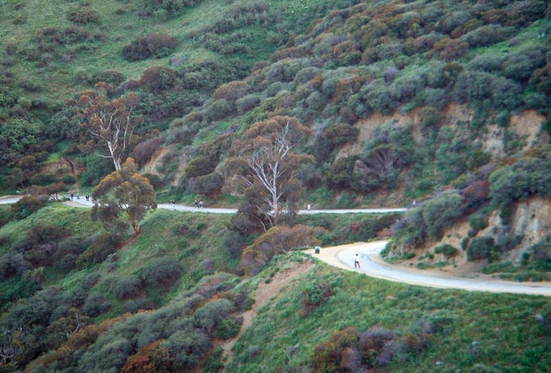 Top Attractions in Los Angeles: Runyon Canyon