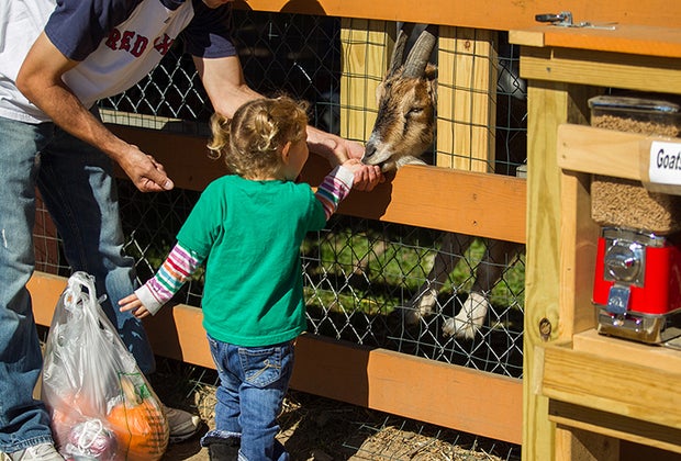 Image of kids at Parlee Farms - Farms and Petting Zoos Around Boston