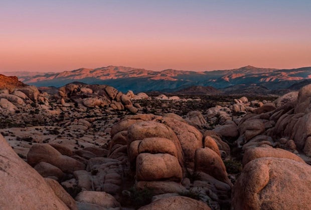Joshua Tree Family Roadtrips National Park System