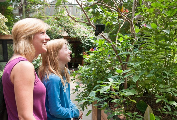 Image of mother and daughter at Magic Wings Butterfly Conservatory