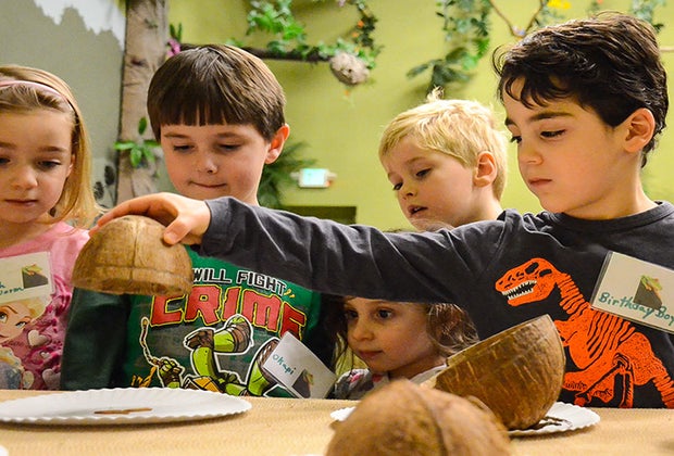 Tropical Birthday party at a Zoo