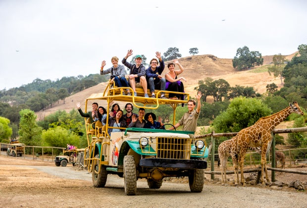 Best Things To Do in Santa Rosa with Kids: Safari West