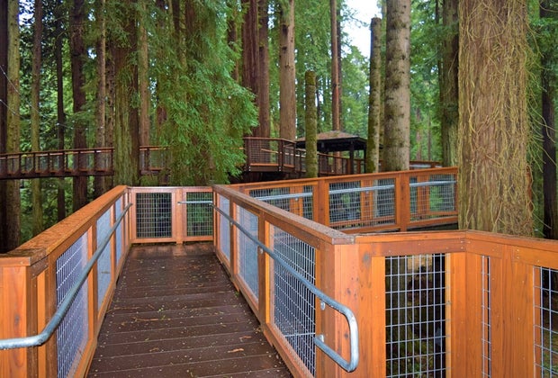 Redwood Sky Walk at Sequoia Park Zoo: Safety first