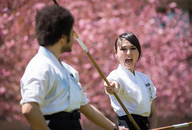 Cherry blossom festivals on Long Island: Visit the Sakura Matsuri Festival at Stony Brook
