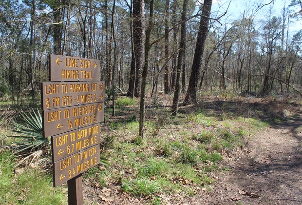 Lone Star Hiking Trail in the Stubblefield Lake Recreation Area in the Sam Houston National Forest