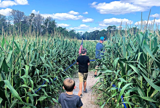 Scott's Maze Adventure 12 Corn Mazes near Orlando for Fall Fun with Kids