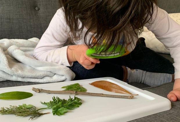 Screen-Free Toddler Activities: Nature Collecting